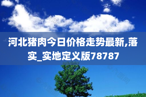 河北猪肉今日价格走势最新,落实_实地定义版78787