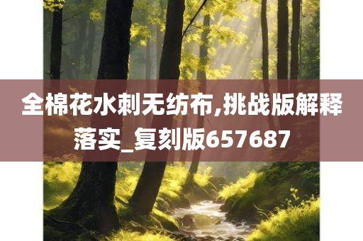 全棉花水刺无纺布,挑战版解释落实_复刻版657687