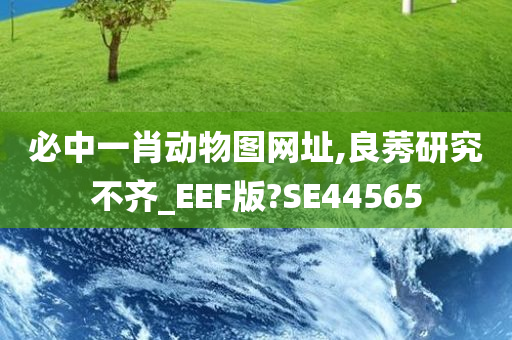 必中一肖动物图网址,良莠研究不齐_EEF版?SE44565