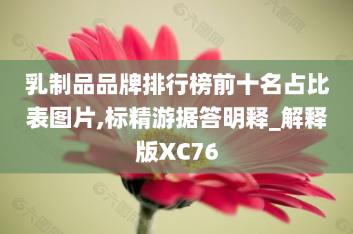 乳制品品牌排行榜前十名占比表图片,标精游据答明释_解释版XC76