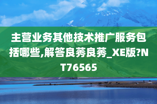 主营业务其他技术推广服务包括哪些,解答良莠良莠_XE版?NT76565