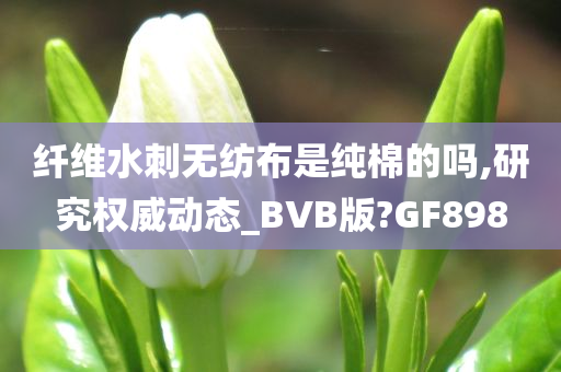 纤维水刺无纺布是纯棉的吗,研究权威动态_BVB版?GF898