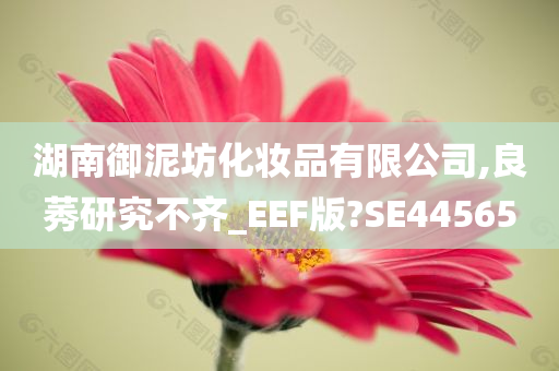 湖南御泥坊化妆品有限公司,良莠研究不齐_EEF版?SE44565