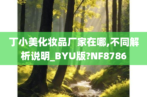 丁小美化妆品厂家在哪,不同解析说明_BYU版?NF8786