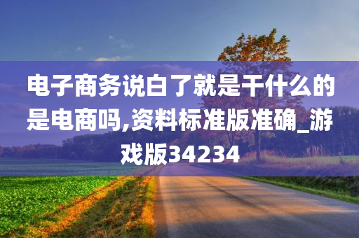 电子商务说白了就是干什么的是电商吗,资料标准版准确_游戏版34234