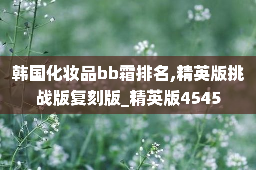 韩国化妆品bb霜排名,精英版挑战版复刻版_精英版4545