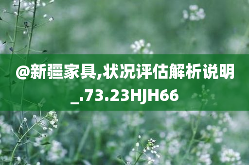 @新疆家具,状况评估解析说明_.73.23HJH66