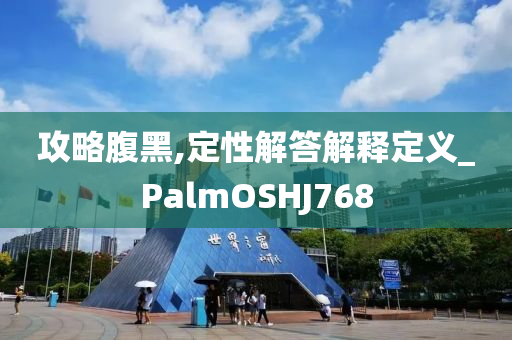 攻略腹黑,定性解答解释定义_PalmOSHJ768