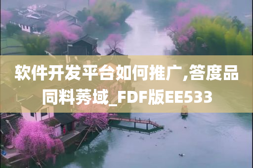 软件开发平台如何推广,答度品同料莠域_FDF版EE533