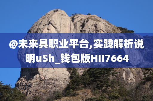 @未来具职业平台,实践解析说明uSh_钱包版HII7664