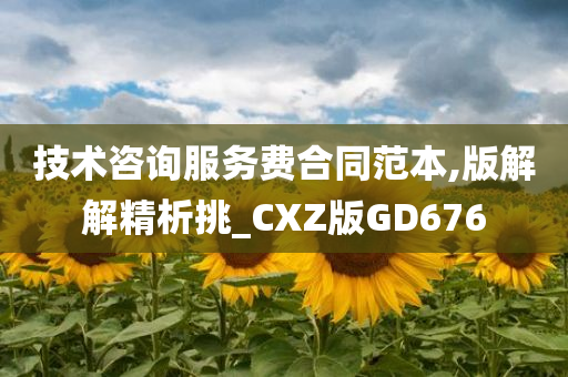 技术咨询服务费合同范本,版解解精析挑_CXZ版GD676