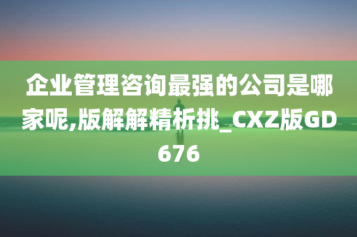 企业管理咨询最强的公司是哪家呢,版解解精析挑_CXZ版GD676