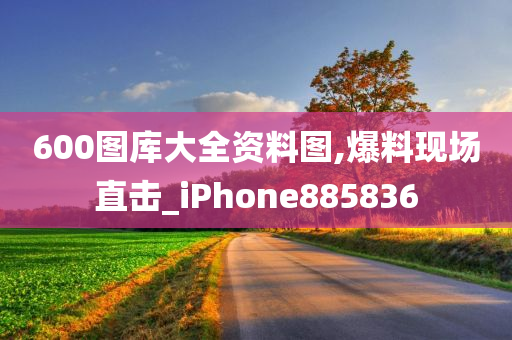 600图库大全资料图,爆料现场直击_iPhone885836