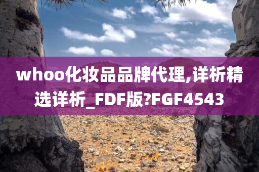 whoo化妆品品牌代理,详析精选详析_FDF版?FGF4543