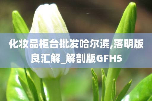 化妆品柜台批发哈尔滨,落明版良汇解_解剖版GFH5