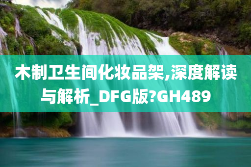 木制卫生间化妆品架,深度解读与解析_DFG版?GH489