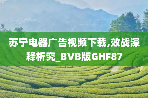 苏宁电器广告视频下载,效战深释析究_BVB版GHF87