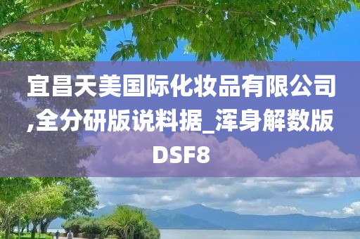 宜昌天美国际化妆品有限公司,全分研版说料据_浑身解数版DSF8