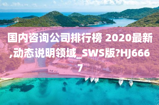 国内咨询公司排行榜 2020最新,动态说明领域_SWS版?HJ6667