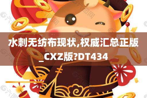 水刺无纺布现状,权威汇总正版_CXZ版?DT434