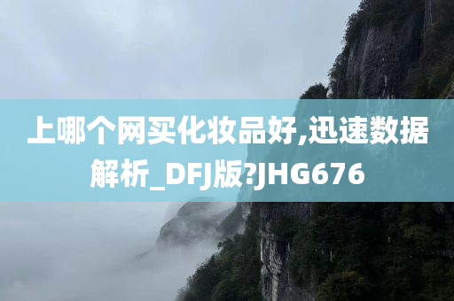 上哪个网买化妆品好,迅速数据解析_DFJ版?JHG676