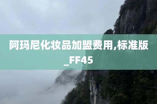 阿玛尼化妆品加盟费用,标准版_FF45