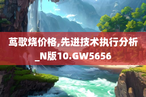 茑歌烧价格,先进技术执行分析_N版10.GW5656