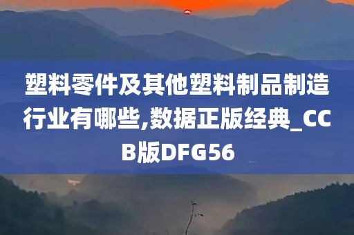 塑料零件及其他塑料制品制造行业有哪些,数据正版经典_CCB版DFG56