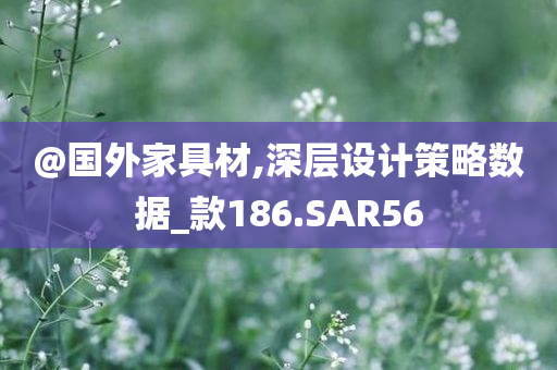 @国外家具材,深层设计策略数据_款186.SAR56