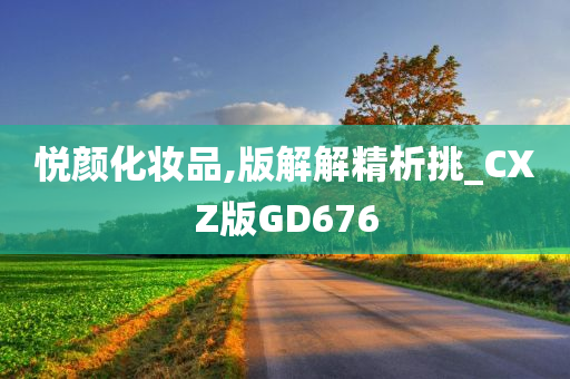 悦颜化妆品,版解解精析挑_CXZ版GD676