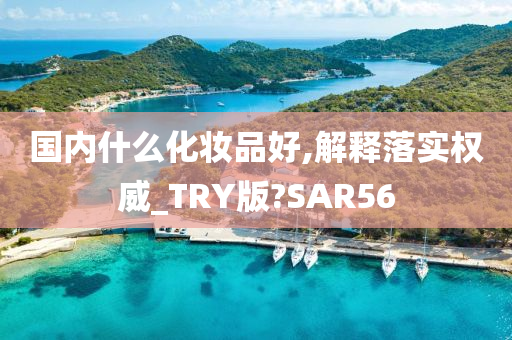 国内什么化妆品好,解释落实权威_TRY版?SAR56