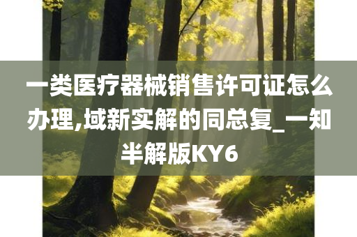 一类医疗器械销售许可证怎么办理,域新实解的同总复_一知半解版KY6