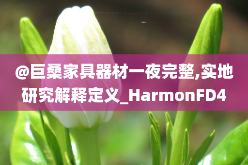 @巨桑家具器材一夜完整,实地研究解释定义_HarmonFD4