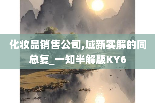 化妆品销售公司,域新实解的同总复_一知半解版KY6