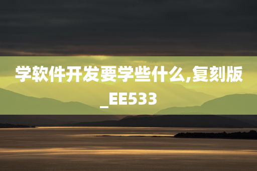 学软件开发要学些什么,复刻版_EE533