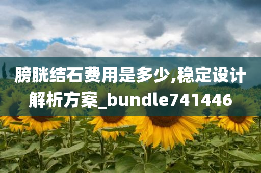 膀胱结石费用是多少,稳定设计解析方案_bundle741446