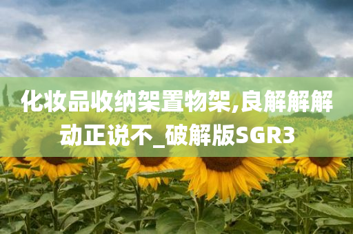 化妆品收纳架置物架,良解解解动正说不_破解版SGR3