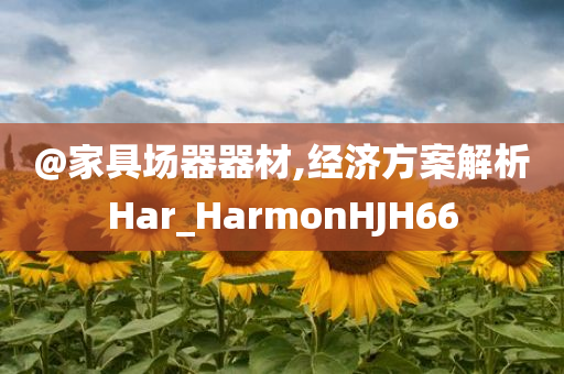 @家具场器器材,经济方案解析Har_HarmonHJH66