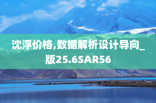 沈浮价格,数据解析设计导向_版25.6SAR56