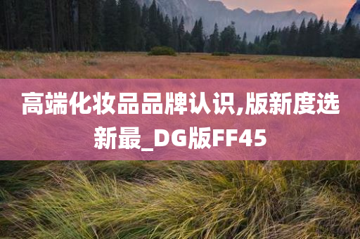 高端化妆品品牌认识,版新度选新最_DG版FF45