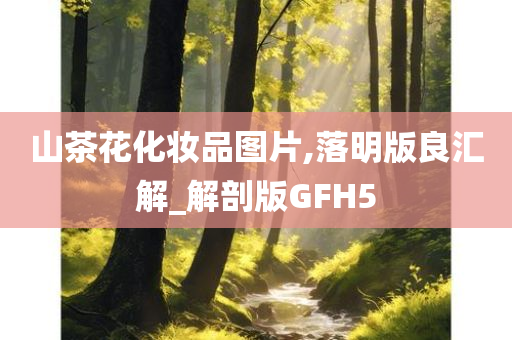 山茶花化妆品图片,落明版良汇解_解剖版GFH5