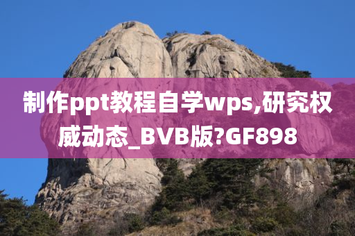 制作ppt教程自学wps,研究权威动态_BVB版?GF898