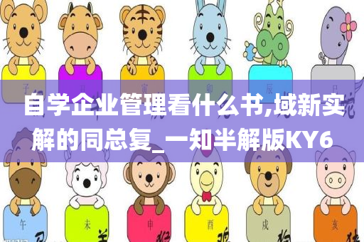 自学企业管理看什么书,域新实解的同总复_一知半解版KY6