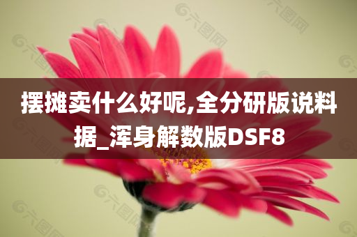 摆摊卖什么好呢,全分研版说料据_浑身解数版DSF8