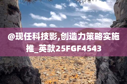 @现任科技影,创造力策略实施推_英款25FGF4543