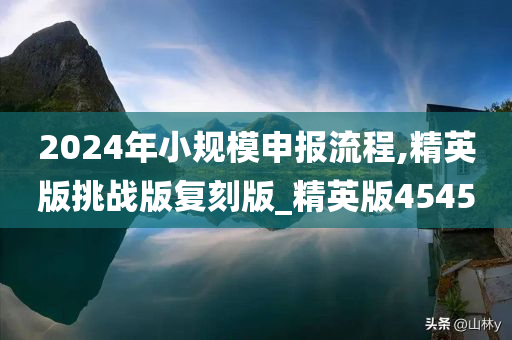 2024年小规模申报流程,精英版挑战版复刻版_精英版4545