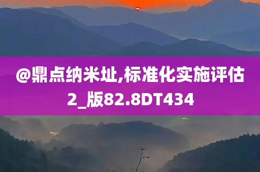 @鼎点纳米址,标准化实施评估2_版82.8DT434