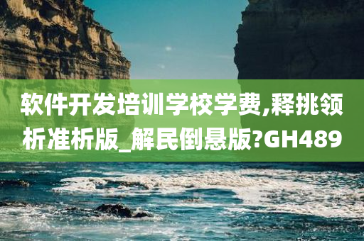 软件开发培训学校学费,释挑领析准析版_解民倒悬版?GH489