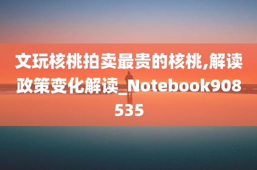 文玩核桃拍卖最贵的核桃,解读政策变化解读_Notebook908535