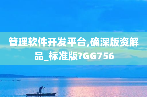 管理软件开发平台,确深版资解品_标准版?GG756